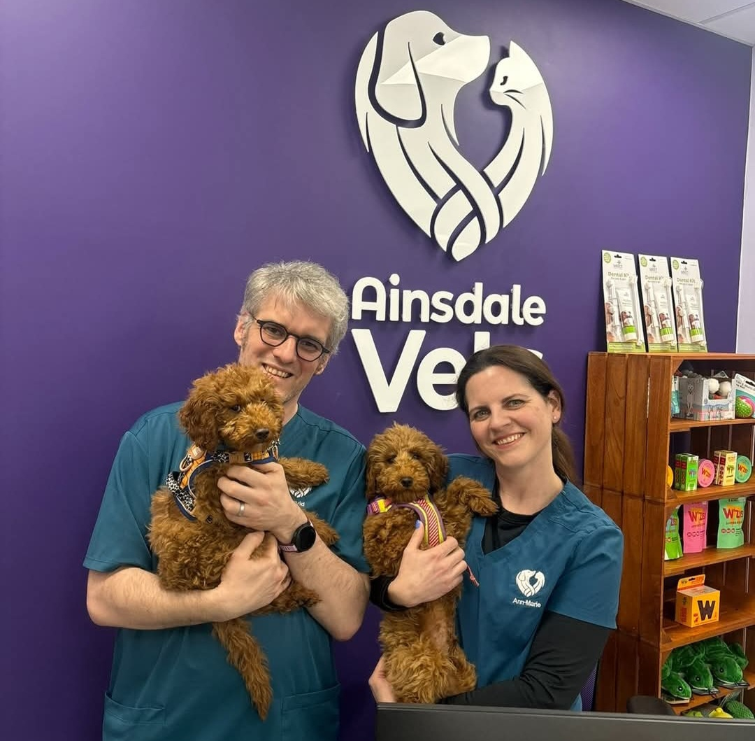 The team at Ainsdale Vets